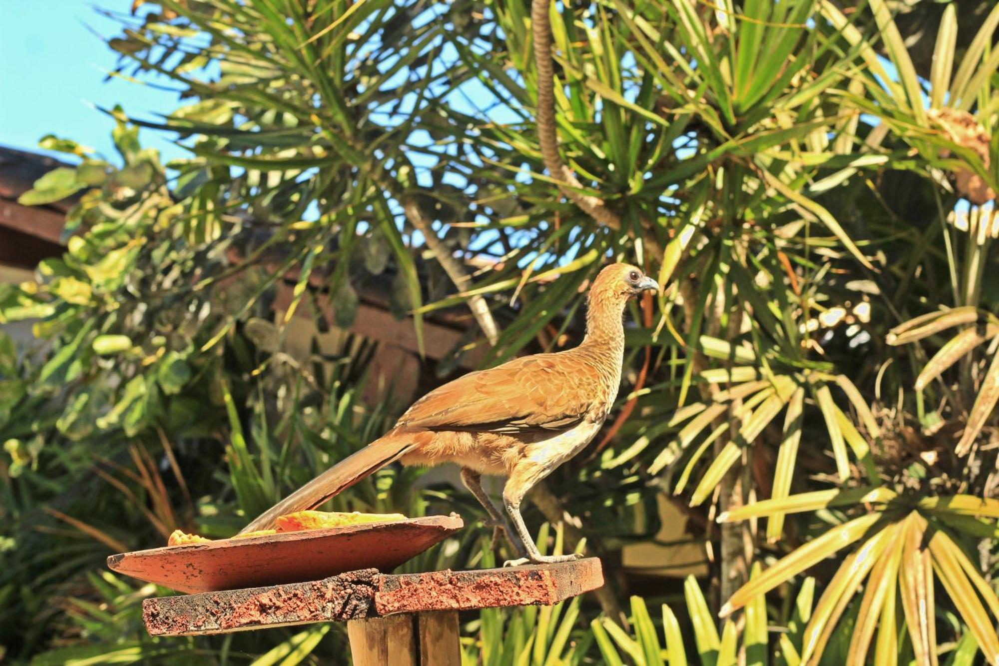 Pousada Fragata - Arraial D Ajuda - Melhor Localizacao E Atendimento Arraial d'Ajuda Exterior foto